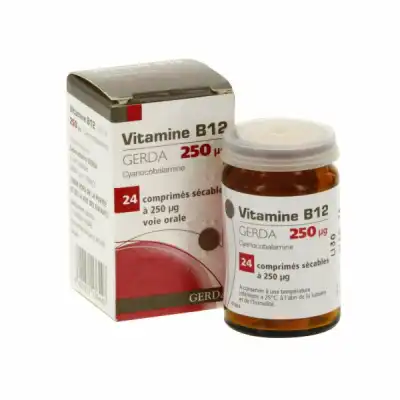 Vitamine B12 Gerda 250 Microgrammes, Comprimé Sécable à DURMENACH