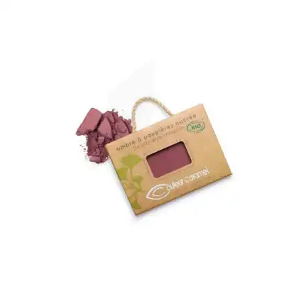 Couleur Caramel Recharge Ombre à Paupières N°053 Purple Nacré 1,7g à ODOS