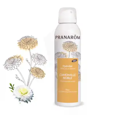 Pranarom Hydrolat Camomille Noble Bio Fl/150ml à VANNES