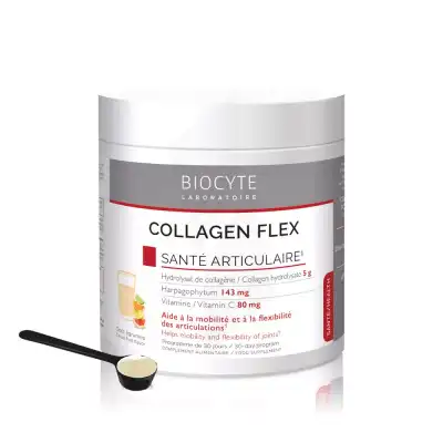 Acheter Biocyte Collagen Flex Poudre 30 Sachets/8g à Angers