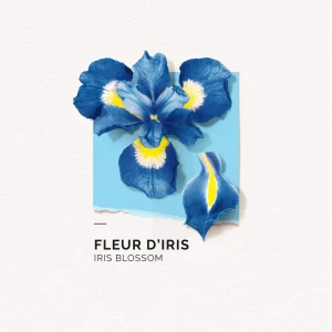 Solinotes Fleur D'iris Eau De Parfum 15ml