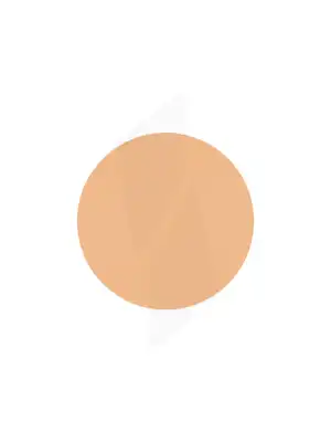 COVERMARK COMPACT POWDER NORMAL SKIN Poudre compacte n°310g