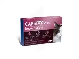 Capstar 11,4mg Comprimés Chat B/6 à Bordeaux