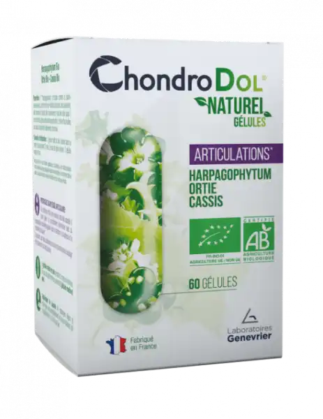 Chondrodol Nature Gélules - Boite De 60cp