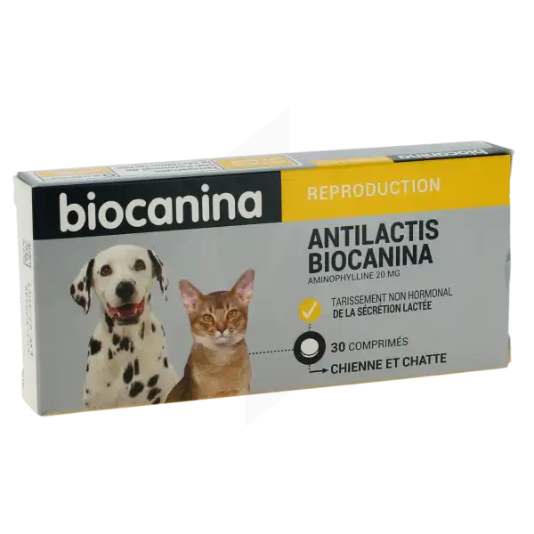 Antilactis Biocanina 20 Mg Comprimes Pellicules Pour Chiens Et Chats, Comprimé Pelliculé