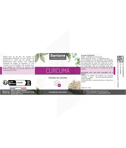 Santane Curcuma Gélules De Poudre De Plantes 280mg B/60