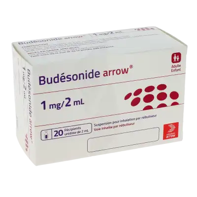 Budesonide Arrow 1 Mg/2 Ml, Suspension Pour Inhalation Par Nébuliseur En Récipient Unidose à Osny