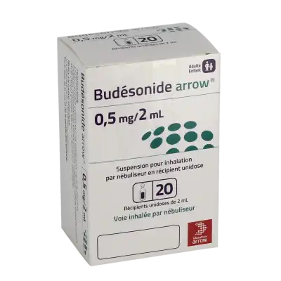 Budesonide Arrow 0,5 Mg/2 Ml, Suspension Pour Inhalation Par Nébuliseur En Récipient Unidose à MONSWILLER