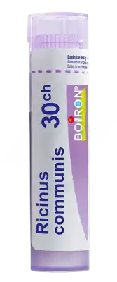 Boiron Ricinus Communis 30ch Granules Tube De 4g à TOULON