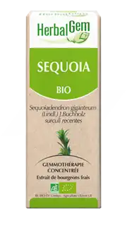 Herbalgem Séquoia Macérat Bio 30ml à VILLERS-LE-LAC