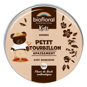 Biofloral Enfant Gomme Bio Petit Tourbillon B/45g à Lyon