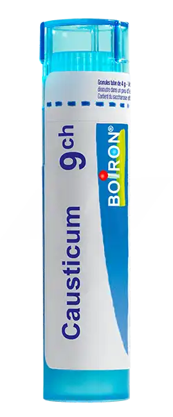 Boiron Causticum 9ch Granules Tube De 4g