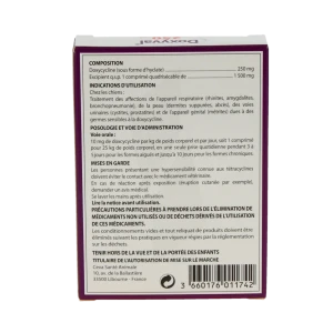 Doxyval 250 Mg Comprime Quadrisecable Pour Chien, Comprimé