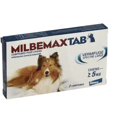 Milbemaxtab Comprimés chien B/2