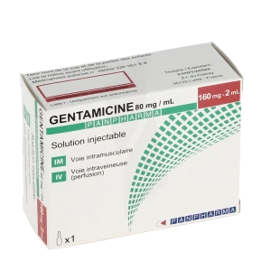 Gentamicine Panpharma 160 Mg, Solution Injectable