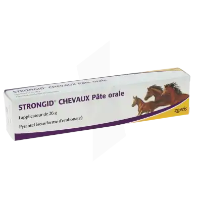 STRONGID CHEVAUX PATE ORALE, Pâte orale