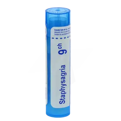 Boiron Staphysagria 9ch Granules Tube De 4g à Pessac