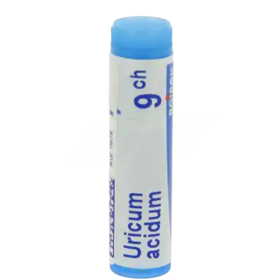 Boiron Uricum Acidum 9ch Globules Dose De 1g à Fargues-  Saint Hilaire