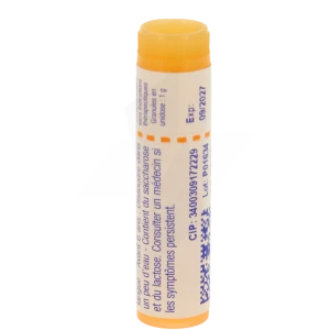 Boiron Serum Anticolibacillaire * 15ch Globules Dose De 1g