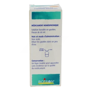 Boiron Hamamelis 6dh Solution Buvable En Gouttes Flacon De 60 Ml
