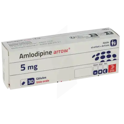 Amlodipine Arrow 5 Mg, Gélule à TOULOUSE