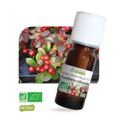 Propos'nature Huile Essentielle Gaulthérie Odorante Bio 10ml à CHAMBÉRY