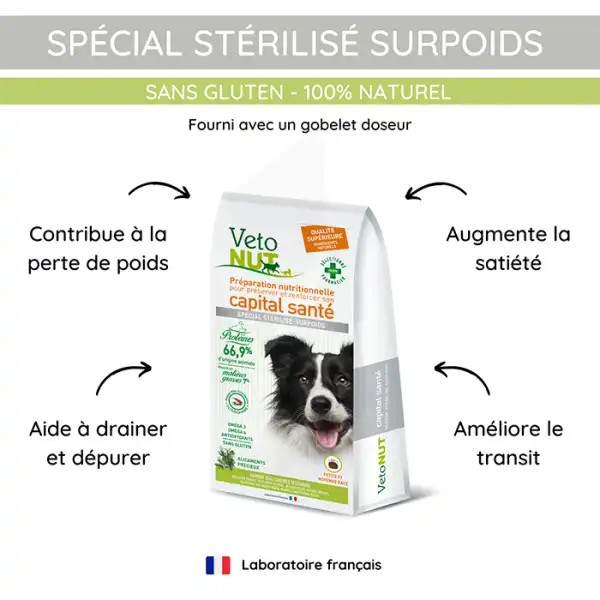 Vétonut Croquettes Pour Chien « spécial Stérilisé Surpoids » Carton