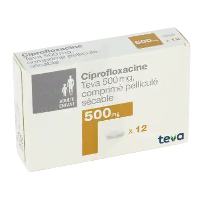 Ciprofloxacine Teva 500 Mg, Comprimé Pelliculé Sécable à  JOUÉ-LÈS-TOURS