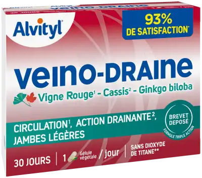 Govital Veinodraine Comprimés B/30 à Talence