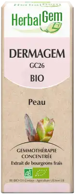 Herbalgem Dermagem Bio 30 Ml à Mérignac