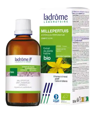 Ladrôme Extrait De Plante Millepertuis Sommité Fleurie 100ml à Mérignac