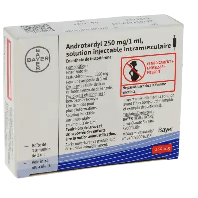 Androtardyl 250 Mg/1 Ml, Solution Injectable Intramusculaire à Clermont-Ferrand