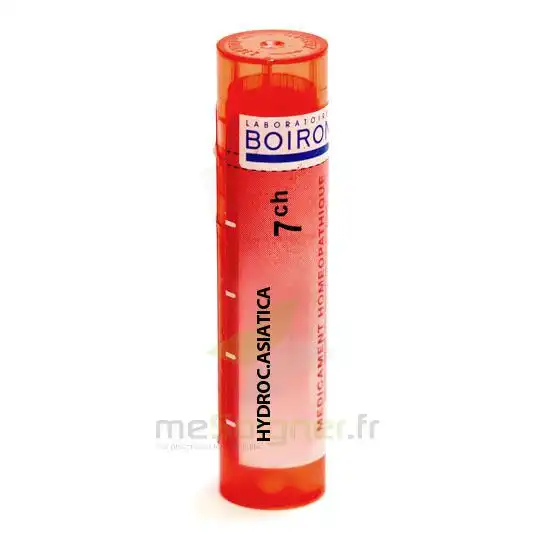 Boiron Hydrocotyle Asiatica 7ch Granules Tube De 4g