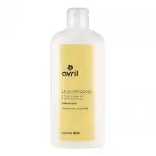 Shampooing Réparation ? Cheveux Secs Et Abîmés - 250 Ml ? Certifié Bio