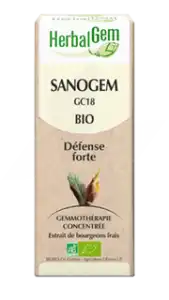 Herbalgem Sanogem Solution Buvable Bio Fl Cpte-gttes/30ml à CLERMONT-FERRAND