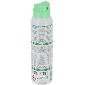 Ginkor Frais Spray Effet Froid Jambes Légères Fl/125ml