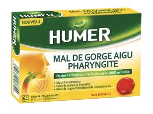 Humer Pharyngite Past Mal De Gorge Baies Sauvages à OULLINS