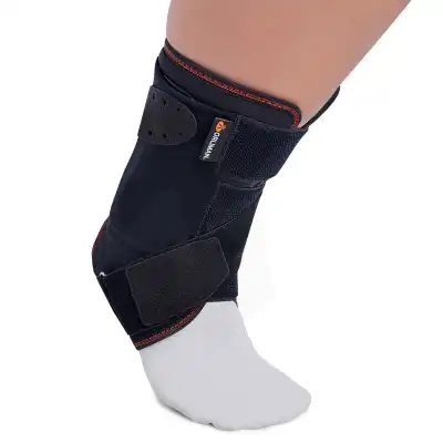 Orliman Oneplus Attelle Cheville Taille 3 B/1