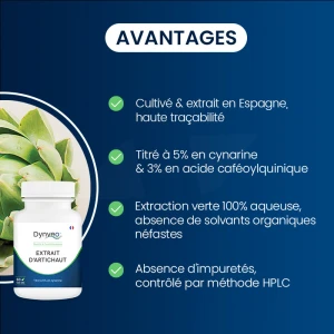 Dynveo Artichaut 5% Minimum En Cynarine 500mg 60 Gélules