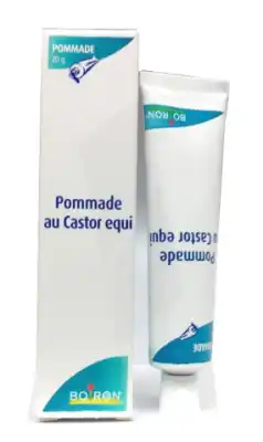 Castor Equi Tm 4% Pom T/20g à CHENÔVE