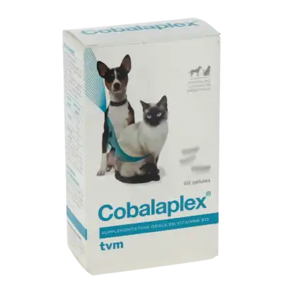 Cobalaplex Gelules B/60 Gel