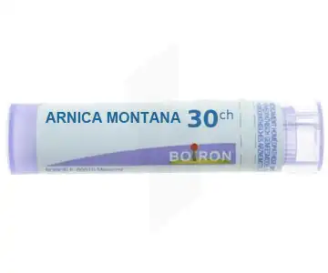Arnica Montana 30ch à ALBERTVILLE