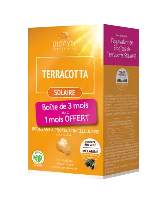 Biocyte Terracotta Cocktail Solaire Comprimés 3b/30 à Paris