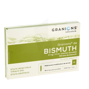 Granions De Bismuth 2 Mg/2 Ml Solution Buvable 10 Ampoules/2ml