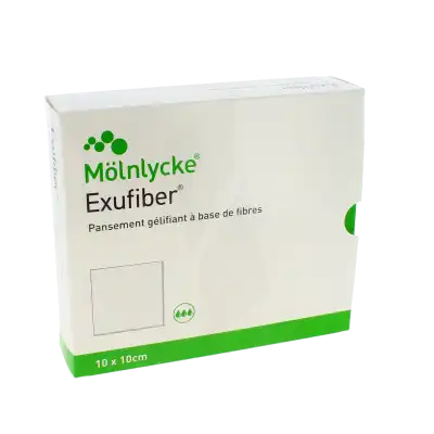 Exufiber Plaque Stérile 10x10cm B/16 à Miraumont