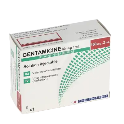 Gentamicine Panpharma 160 Mg, Solution Injectable à MONTEUX