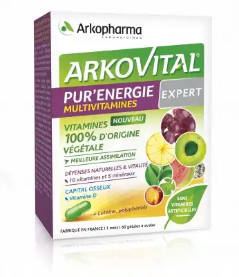 Arkovital Pur'energie Multivitamines Expert Multivitamines Gélules B/60 à Salins-les-Bains