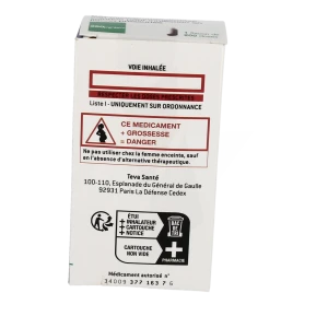 Beclometasone Teva 250 Microgrammes/dose, Solution Pour Inhalation En Flacon Pressurisé