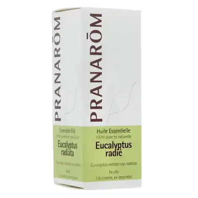 Huile Essentielle Eucalyptus Radie Pranarom 10ml à Bordeaux