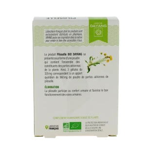 Piloselle (45)